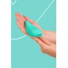 Mini vibro rechargeable DelightfulWave vert - FairyGasm