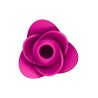Stimulateur clitoridien Satisfyer Pro 2 Modern Blossom