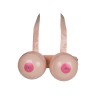 Jeu de combat coquin Boob Battle